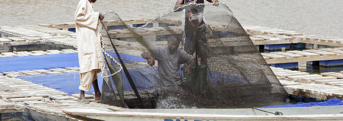 Senegal UN Photo