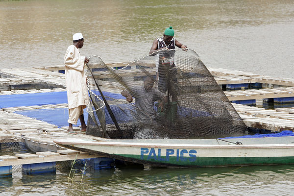 Senegal UN Photo